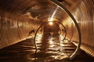 Read more about the article Bypass Pumping & Pipe Rehabilitation